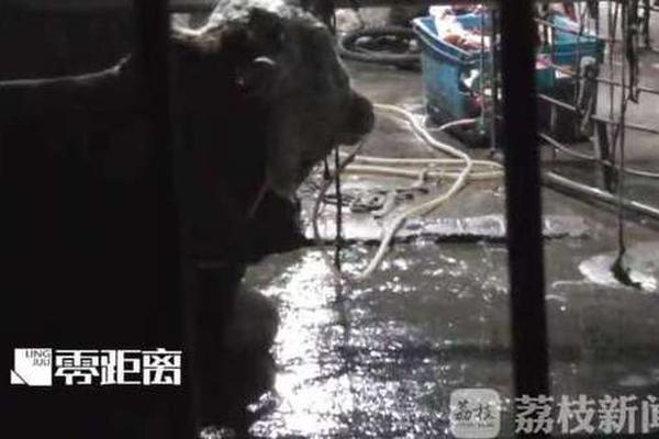 2023量子产业大会在合肥举办