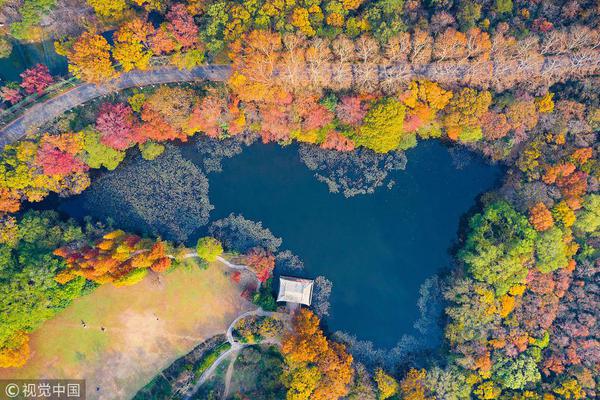 新华全媒+丨增投资建新厂 智能化转型忙——安徽芜湖现代农业机械产业基地一线见闻