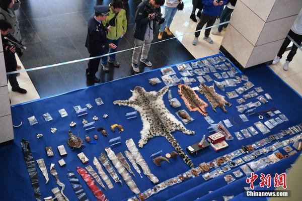 韩国女主播麦兜，在线观看与剧情介绍