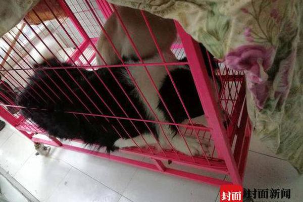 【上環慢活地圖】從古董老街到精品咖啡，探尋香港最迷人的時空交錯感 