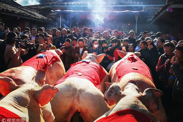 新澳天天开奖资料大全正版,全面释义、解释与落实