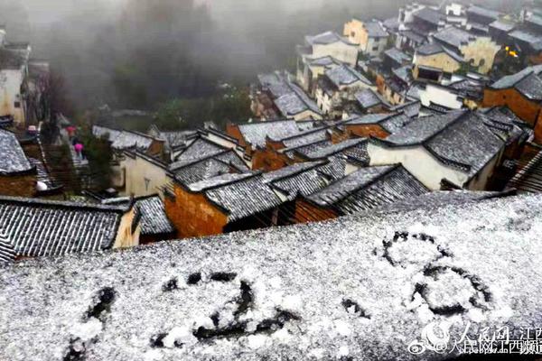 八大关枫叶在哪条路