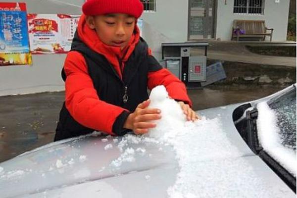 牡丹竞绽放富农美乡村