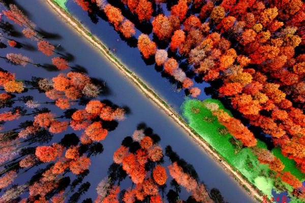 De novato a especialista: Introdução e avanço em None