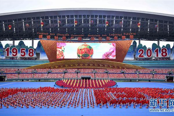 2025精准正版资料大全,详细解答、解释与落实