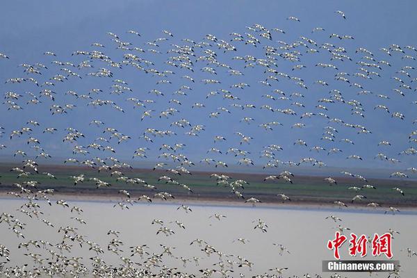 通过加油机作弊“偷油”！浙江多个加油站被查