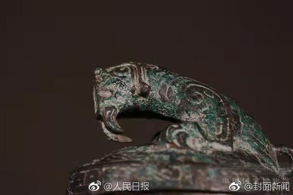 孟狐狸的果哥视频，探索网络上的精彩世界