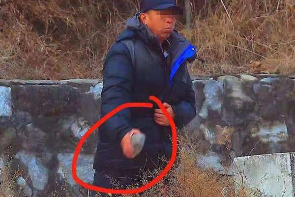 91长岛冰茶，探索网络上的免费视频与剧情介绍