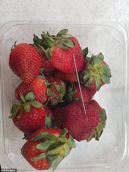 鐪嬪コ浜哄唨鑹茶灪浣撻姝屽崟，在线视频资源探索与剧情解析