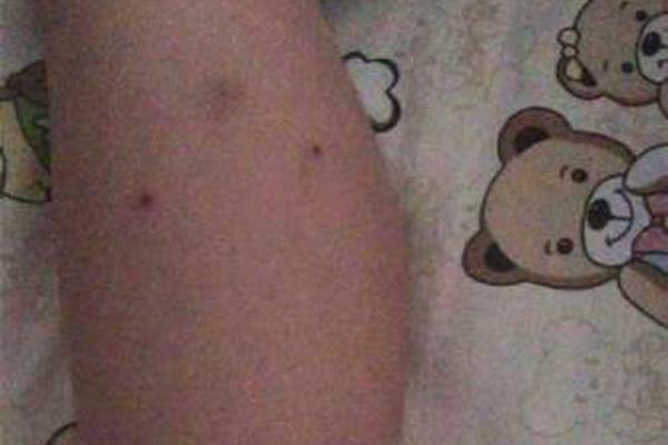 策馬奔騰，指尖上的速度與激情：深度解密「HKJC直播」為何成為香港人的生活靈魂 