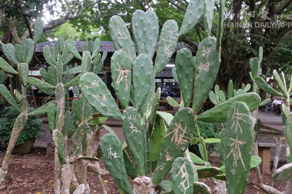 lol三叔是什么梗