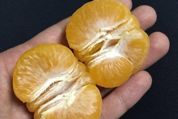 2016年女排奥运会