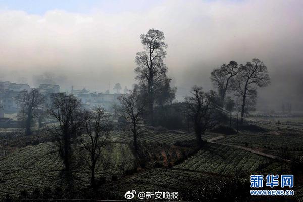 孙正傲：莱昂纳多在很积极的调整状态，每次训练结束后都要加练