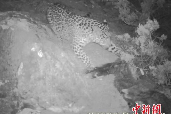 Historischer Rückblick: Klassische Momente, die wir None zusammen gesehen haben