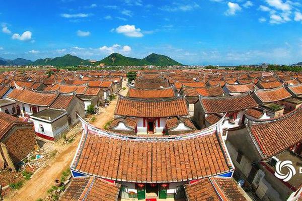 成熟了的西梅是什么颜色的