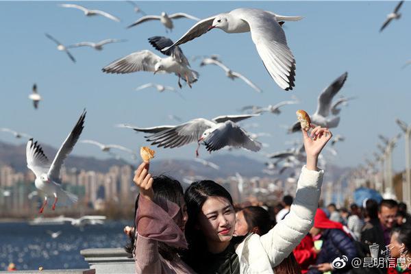 日媒：华为在手机芯片领域直追高通