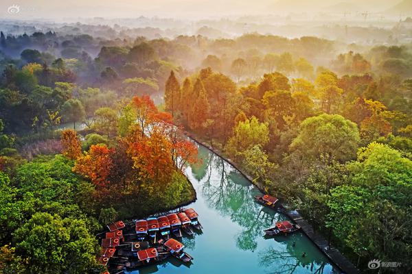 年轻人弹性社交：“拼”出来的温暖