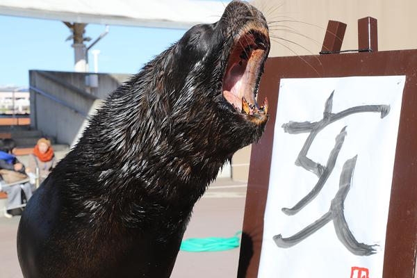 1600米外1枪毙3人的巴雷特步枪竟是发烧友的杰作