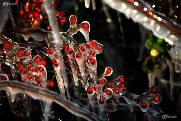 day到rua是什么梗