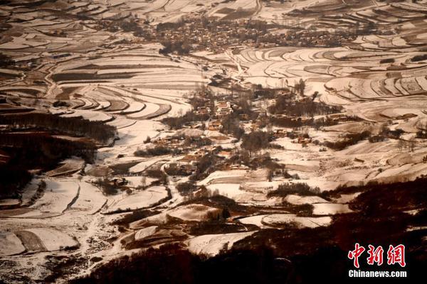 习近平同巴西联邦共和国总统举行会谈 两国元首一致同意推动中巴全面战略伙伴关系取得新的更大发展