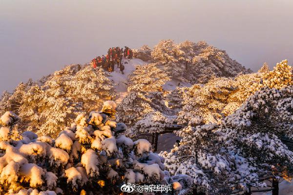 粉墙黛瓦诉不尽老合肥故事