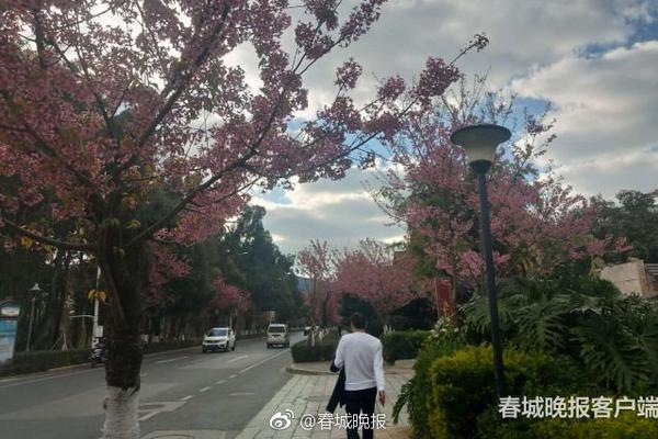 鍞炬恫娣峰悎——在线视频资源探索与分享