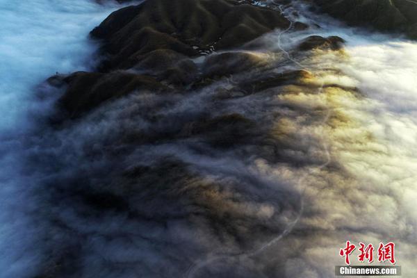 2019万佛湖有机鱼（合肥）推介会 暨滨湖店开业仪式隆重启幕