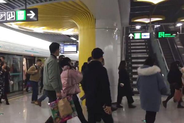 用画笔讲述一带一路故事
