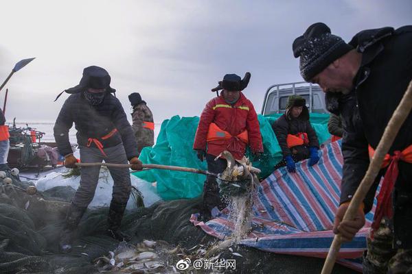 高脂肪饮食为何易引发糖尿病