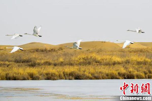 上海：培育新优势 澎湃新动能