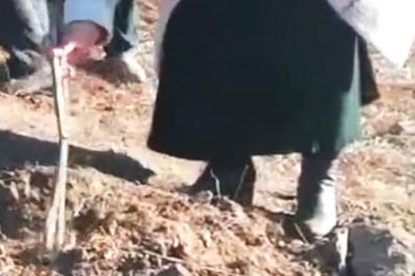 云南蘑菇是什么梗