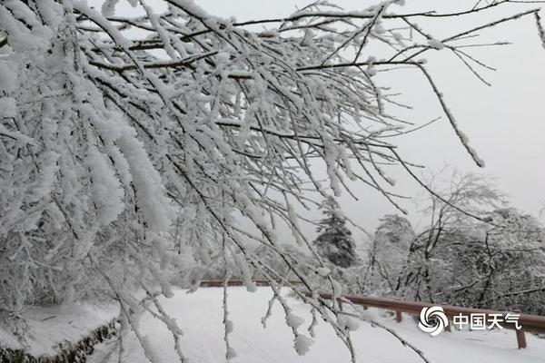 韩春雨的“基因剪刀”又复活了？曾卷入舆论漩涡