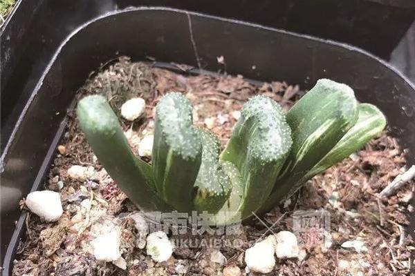 多维度促进儿童青少年心血管健康 专家建言“因材施教”