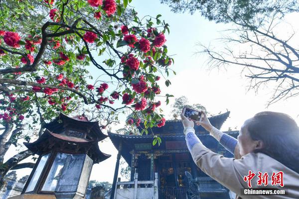 黄山市：多形式开展未成年人心理健康服务