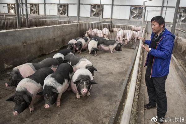 美国大师赛决赛轮分组 伍兹莫里纳利21:20出发