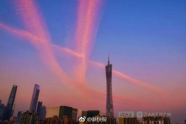 指尖扰乱，网络视频信息探索