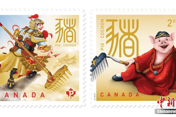 未来展望：篮球比赛 高清将如何改变我们的生活？