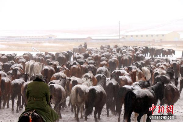 南太铉张才人公开恋情后首同台 甜笑害羞捂脸甜蜜气息满满