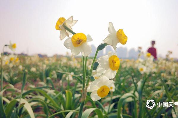 【传家日历】黑白分明，才够酷