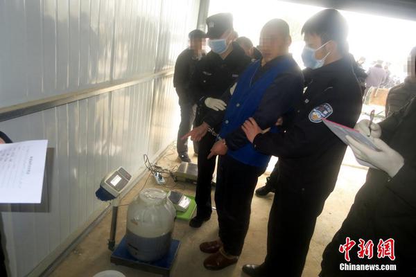 澳门一码一肖一拐一特,详细解答、解释与落实