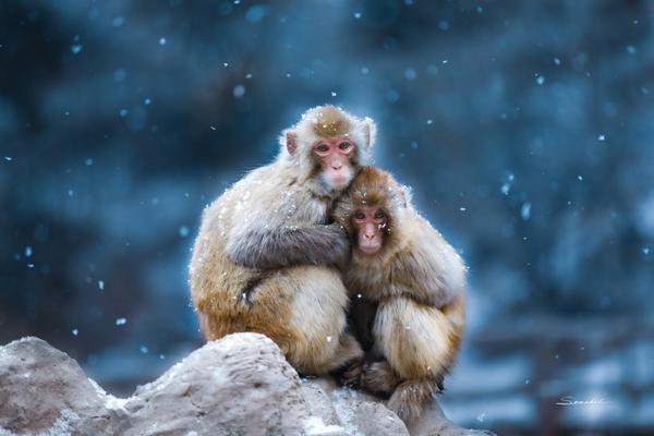 告別二線財務泥沼：全方位「二線攬數」深層解析，助你重拾生活主導權 