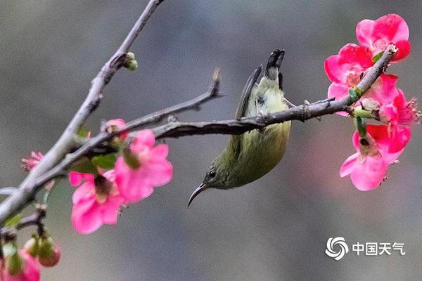  一年卖出20亿杯，稳坐中国茶包市场头把交椅，却被老东家给卖了？