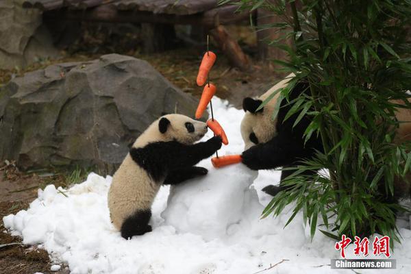 厦门三轮土拍|建发联合体底价9.8亿得翔安区1宗商住地