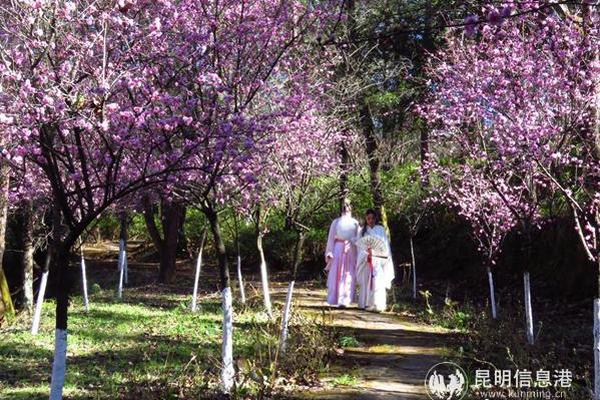 真人黑寡妇？俄罗斯最美女兵出炉:金发及腰 枪法精准