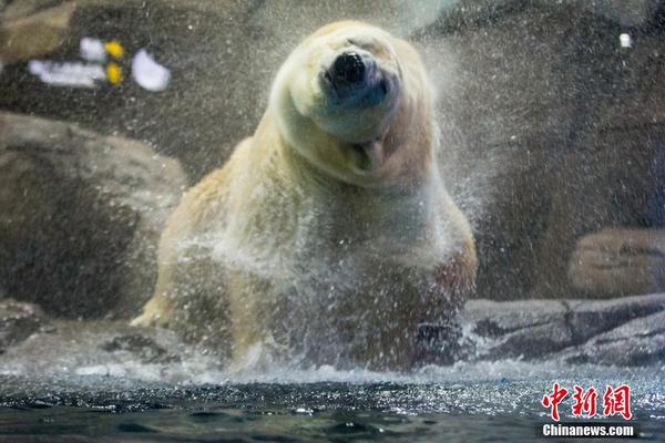 數字時代的財富博弈：揭秘上網賭博如何從「消遣」進化為「指尖上的頂級娛樂體驗」 