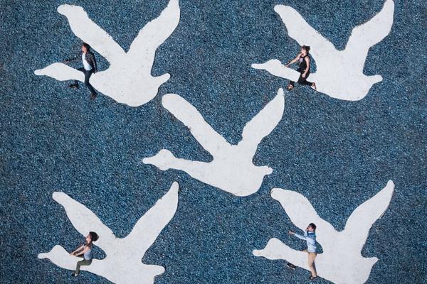  中国澳门市政署建食安标准数据库 便利业界及市民查阅