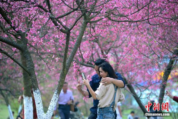 习近平同巴西联邦共和国总统举行会谈 两国元首一致同意推动中巴全面战略伙伴关系取得新的更大发展