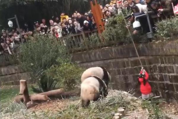 简单的土豆片怎么炒