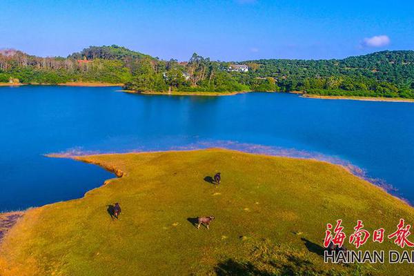 中央空调排气口滴水是什么原因？平时注意这些方面就可以了