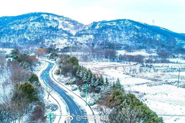 国内驾考太难？此国家考驾照居然要学漂移 简直没法比